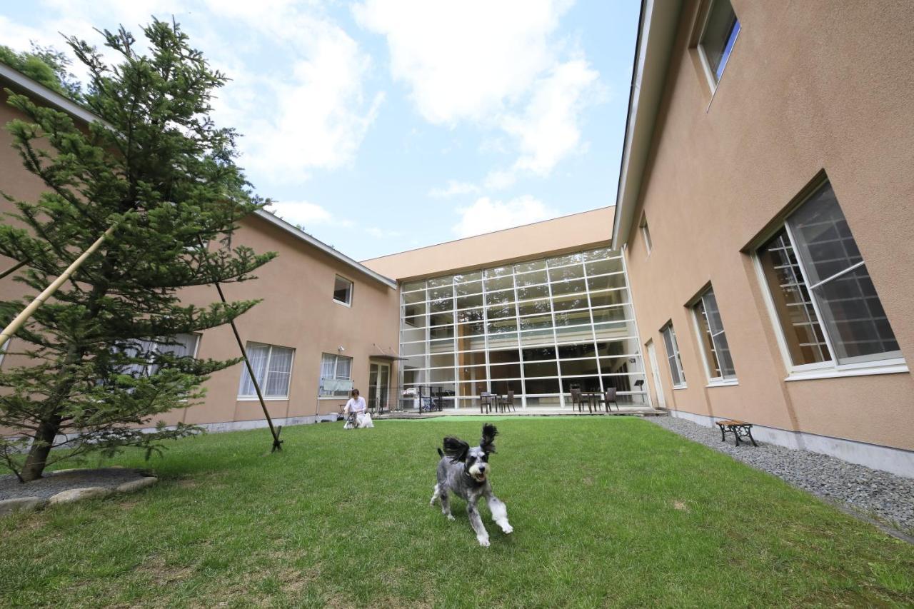 צ'ינו Yutorelo Tateshina Hotel With Dogs מראה חיצוני תמונה