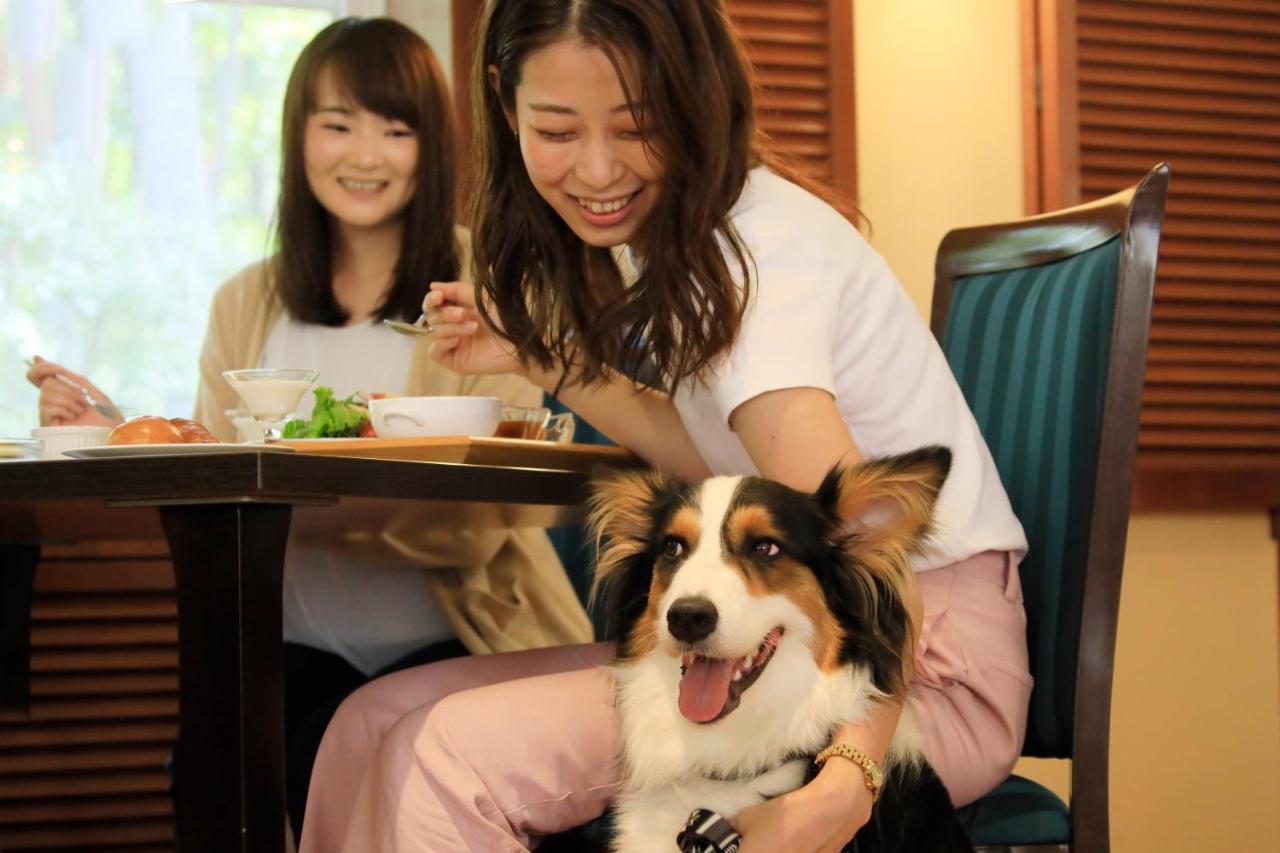צ'ינו Yutorelo Tateshina Hotel With Dogs מראה חיצוני תמונה
