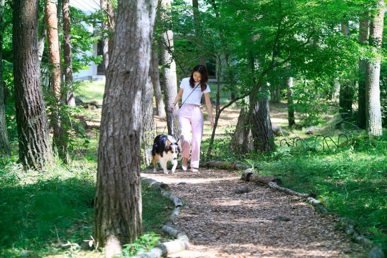 צ'ינו Yutorelo Tateshina Hotel With Dogs מראה חיצוני תמונה