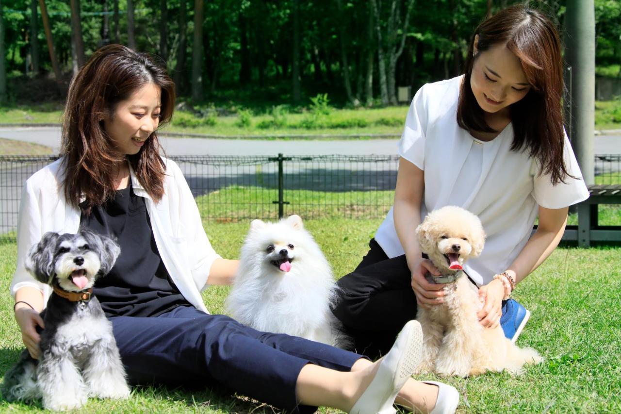 צ'ינו Yutorelo Tateshina Hotel With Dogs מראה חיצוני תמונה