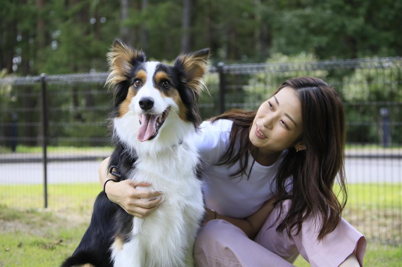 צ'ינו Yutorelo Tateshina Hotel With Dogs מראה חיצוני תמונה