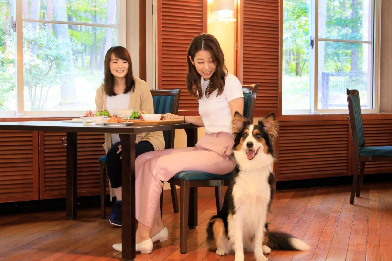 צ'ינו Yutorelo Tateshina Hotel With Dogs מראה חיצוני תמונה