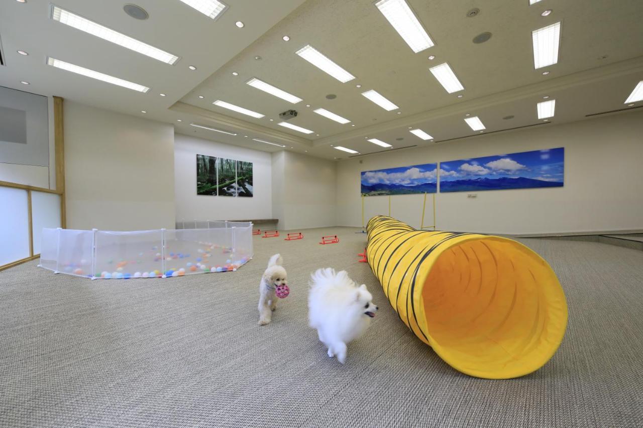 צ'ינו Yutorelo Tateshina Hotel With Dogs מראה חיצוני תמונה