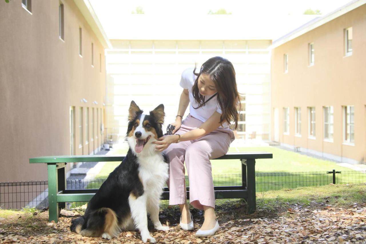 צ'ינו Yutorelo Tateshina Hotel With Dogs מראה חיצוני תמונה
