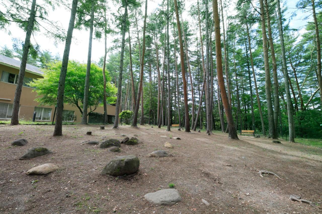 צ'ינו Yutorelo Tateshina Hotel With Dogs מראה חיצוני תמונה