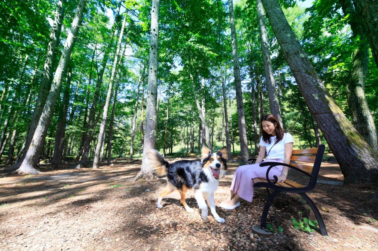 צ'ינו Yutorelo Tateshina Hotel With Dogs מראה חיצוני תמונה